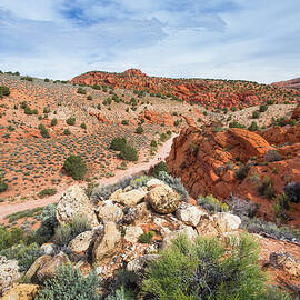 A Hike Through Red Rock Desert by Matthew Micah Wright