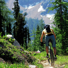 A Man Bikes Along A Trail In Mazama by Rich Wheater