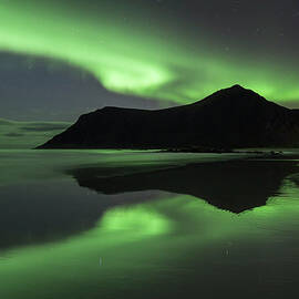 Aurora, Flakstadoya, Norway, Scandinavia by David Clapp