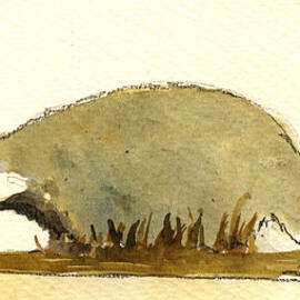 Badger by Juan  Bosco