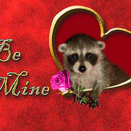 Be Mine Raccoon by Jeanette K