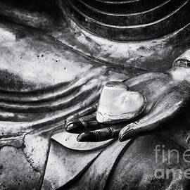 Buddha Heart by Tim Gainey