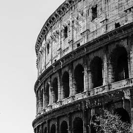 Colosseum - Rome Italy by AM FineArtPrints