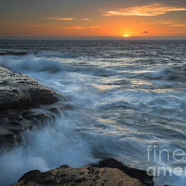 Covered by the Sea by Michael Dawson