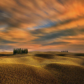 Cypresses... by Krzysztof Browko