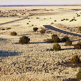 Desert Highway in Arizona by Alexey Stiop