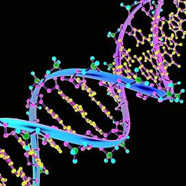 Dna Illustration