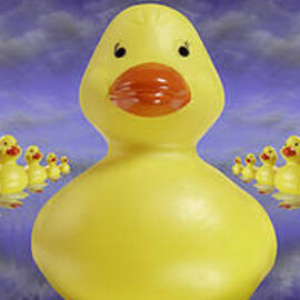 Ducks In A Row by Mike McGlothlen