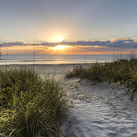 Dune Trail by Debra and Dave Vanderlaan