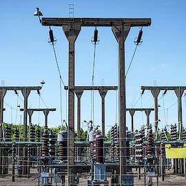Electricity Substation by Science Photo Library