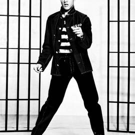 Elvis Presley by Doc Braham