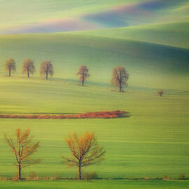 Fields by Krzysztof Browko
