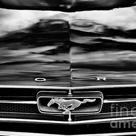 Ford Mustang Monochrome  by Tim Gainey