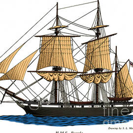 Hms Beagle by Science Source