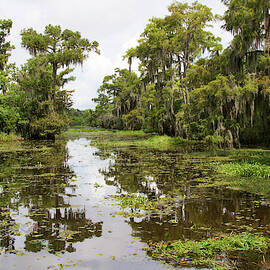 La, Lafitte, Airboat Swamp Tour by Jamie and Judy Wild