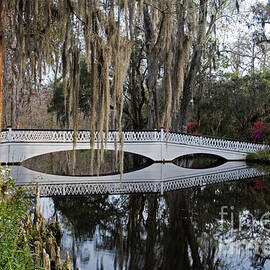 Magnolia Plantation by David Davis