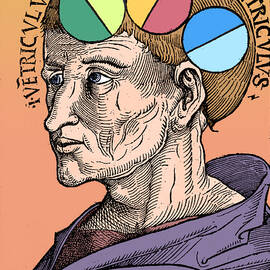 Man With Brain Ventricles, Albertus by Science Source