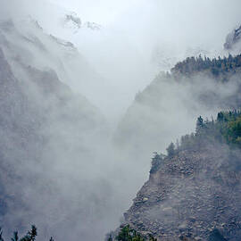 Mist in mountain mystery forest by Raimond Klavins