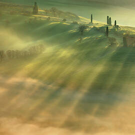 Mist... by Krzysztof Browko