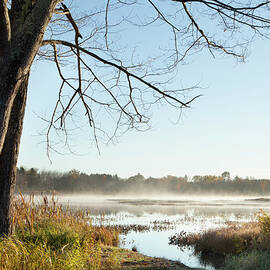 Mist Rising Over A Large Pond, Near by Susan Dykstra / Design Pics