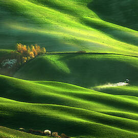 On Waves... by Krzysztof Browko