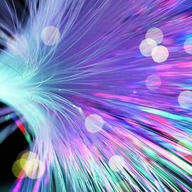 Optical Fibres by Science Photo Library