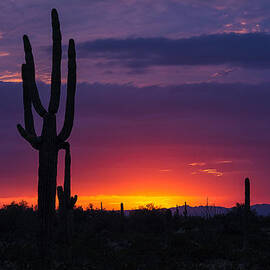 Painted Desert Skies  by Saija Lehtonen