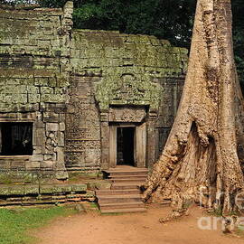 Preah KhanTemple at Angkor Wat by Sami Sarkis Photography