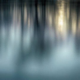 Reflection Of Trees On A Frozen Lake by Elisabeth Pollaert Smith