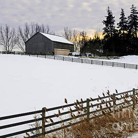 Rural winter landscape 1 by Elena Elisseeva