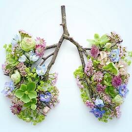 Spring Flowers Representing Human Lungs by Science Photo Library