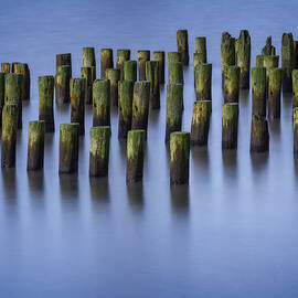 Still Waters by Susan Candelario