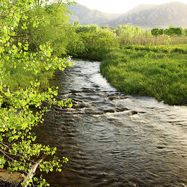 Stream Flowing Through Green Fields by Beklaus