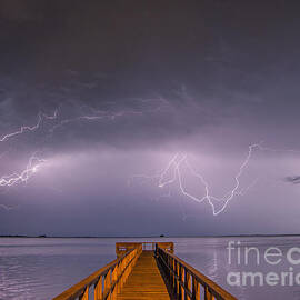 The Pier by Stephen Whalen