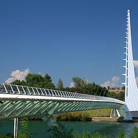 The Sundial Bridge At Turtle Bay by David R. Frazier