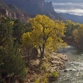 The Watchman by John Blumenkamp