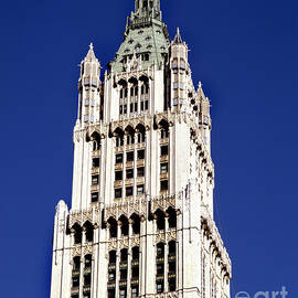 The Woolworth Building by Rafael Macia