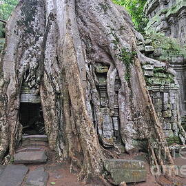 Tree roots on ruins at Angkor Wat by Sami Sarkis Photography