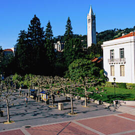 Trees In Front Of A University by Panoramic Images