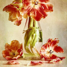 Tulips in vintage milk bottle  by Sandra Cunningham