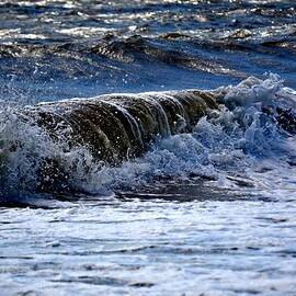 Tybee Waves