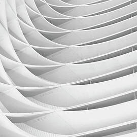 Study Of Patterns And Lines by Roland Shainidze Photogaphy