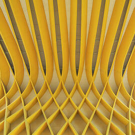 Study Of Patterns And Lines by Roland Shainidze Photogaphy
