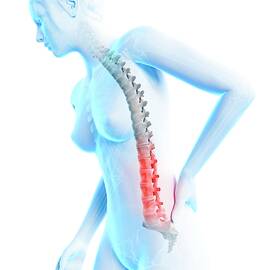 Human Back Pain