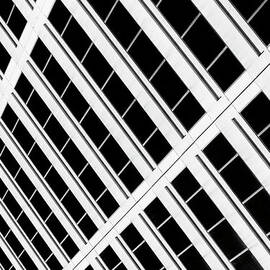 Study Of Patterns And Lines by Roland Shainidze Photogaphy