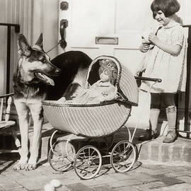 1920s Smiling Little Girl Watched by Animal Images