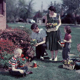 1950s Suburban Family Gardening by Vintage Images