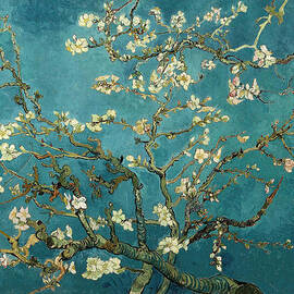 Almond Branches in Bloom by Celestial Images