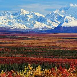 Autumn Alaska Vista