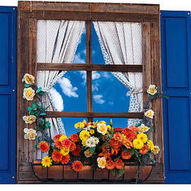 Country style window with flowers